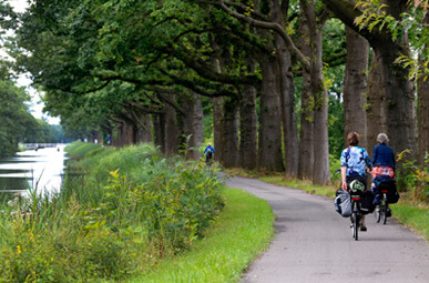 Ansicht eines Radweges bei Brummen auf der Oranierfahrr